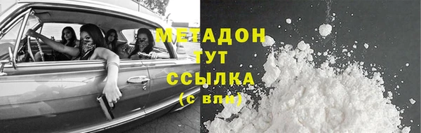 хмурый Аркадак