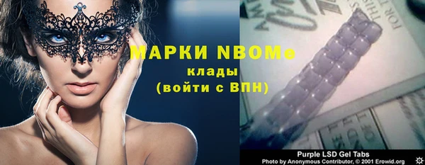 хмурый Аркадак