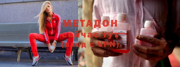 хмурый Аркадак