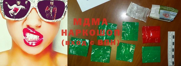 хмурый Аркадак