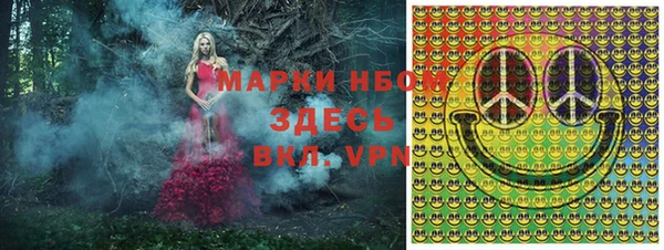хмурый Аркадак