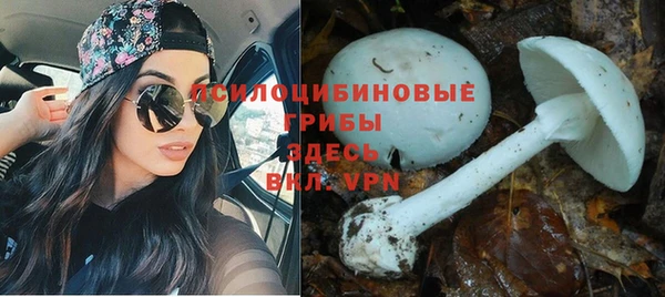 гашиш Арсеньев