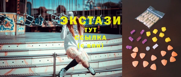 хмурый Аркадак