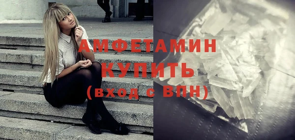 хмурый Аркадак