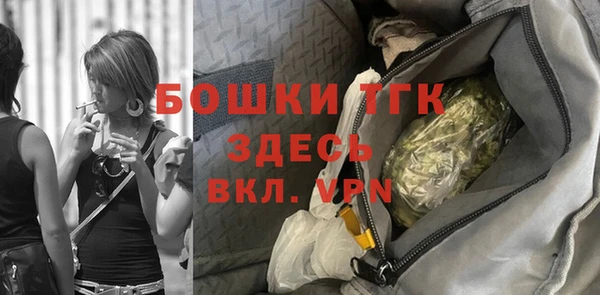 хмурый Аркадак
