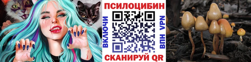 где купить наркоту  Яблоновский  Псилоцибиновые грибы прущие грибы 