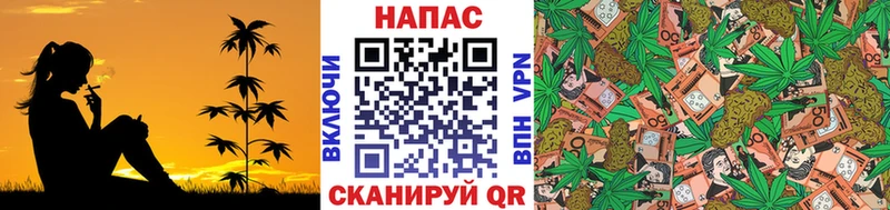 дарк нет телеграм  дарнет шоп  mega как зайти  Яблоновский  Шишки марихуана White Widow 